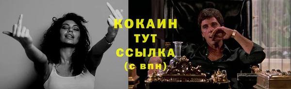 тгк Аркадак
