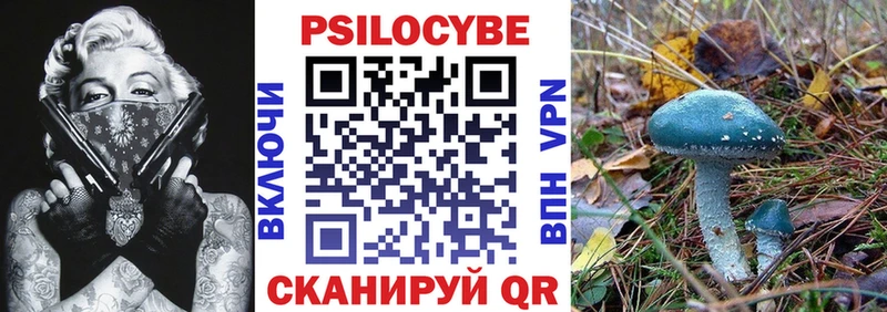 сколько стоит  Заозёрск  ОМГ ОМГ tor  Псилоцибиновые грибы прущие грибы 